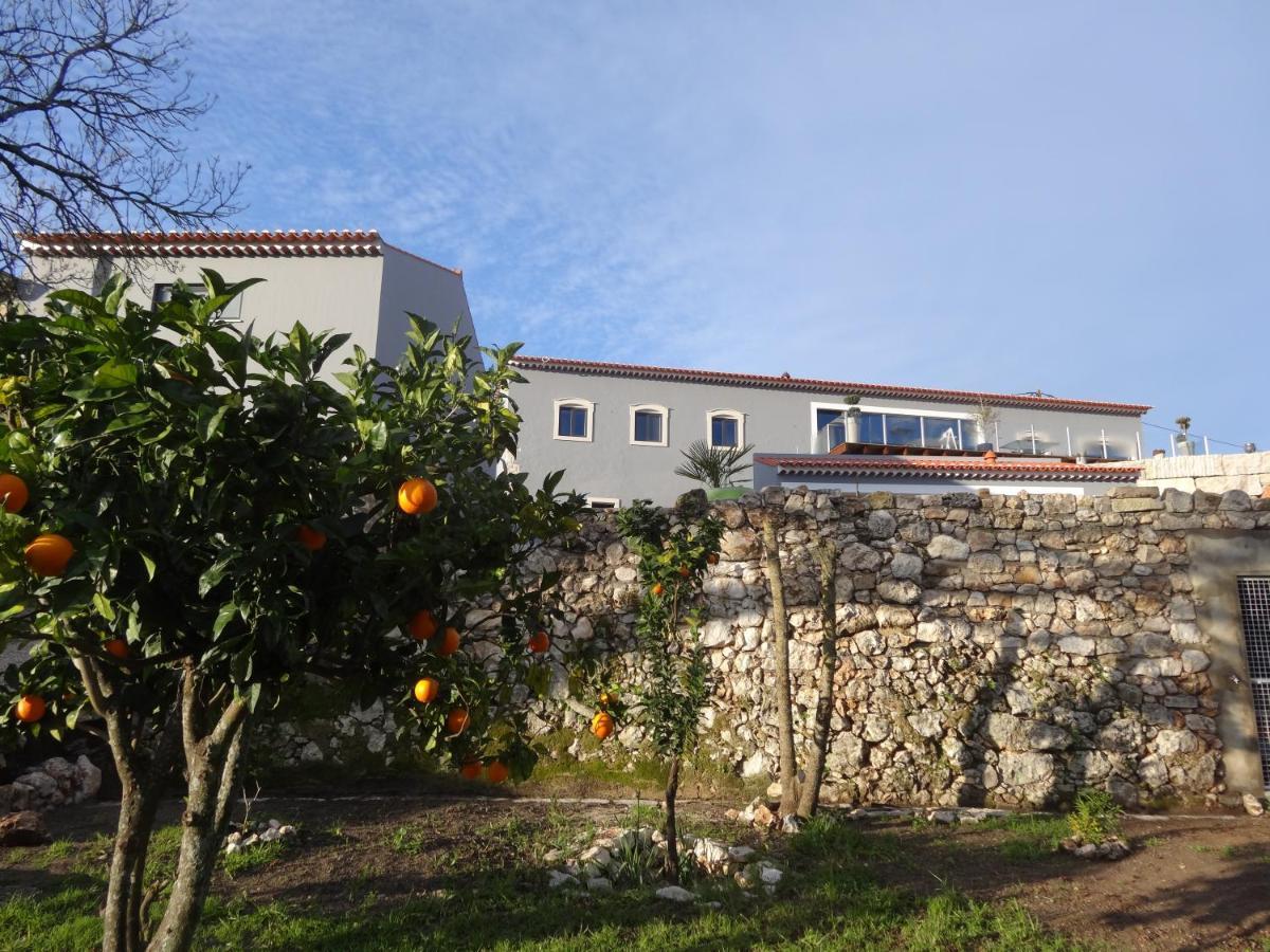 Casa Da Riguerinha Bed & Breakfast Monsanto Dış mekan fotoğraf
