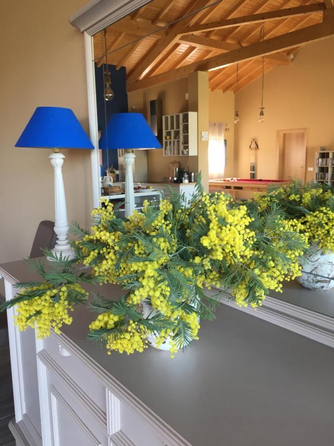 Casa Da Riguerinha Bed & Breakfast Monsanto Dış mekan fotoğraf